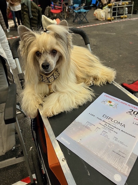 kooiker vom Wachtelhaus